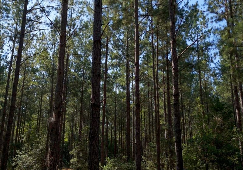 623 Cabin Creek Photo 3