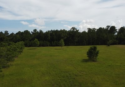 623 DJI 0959