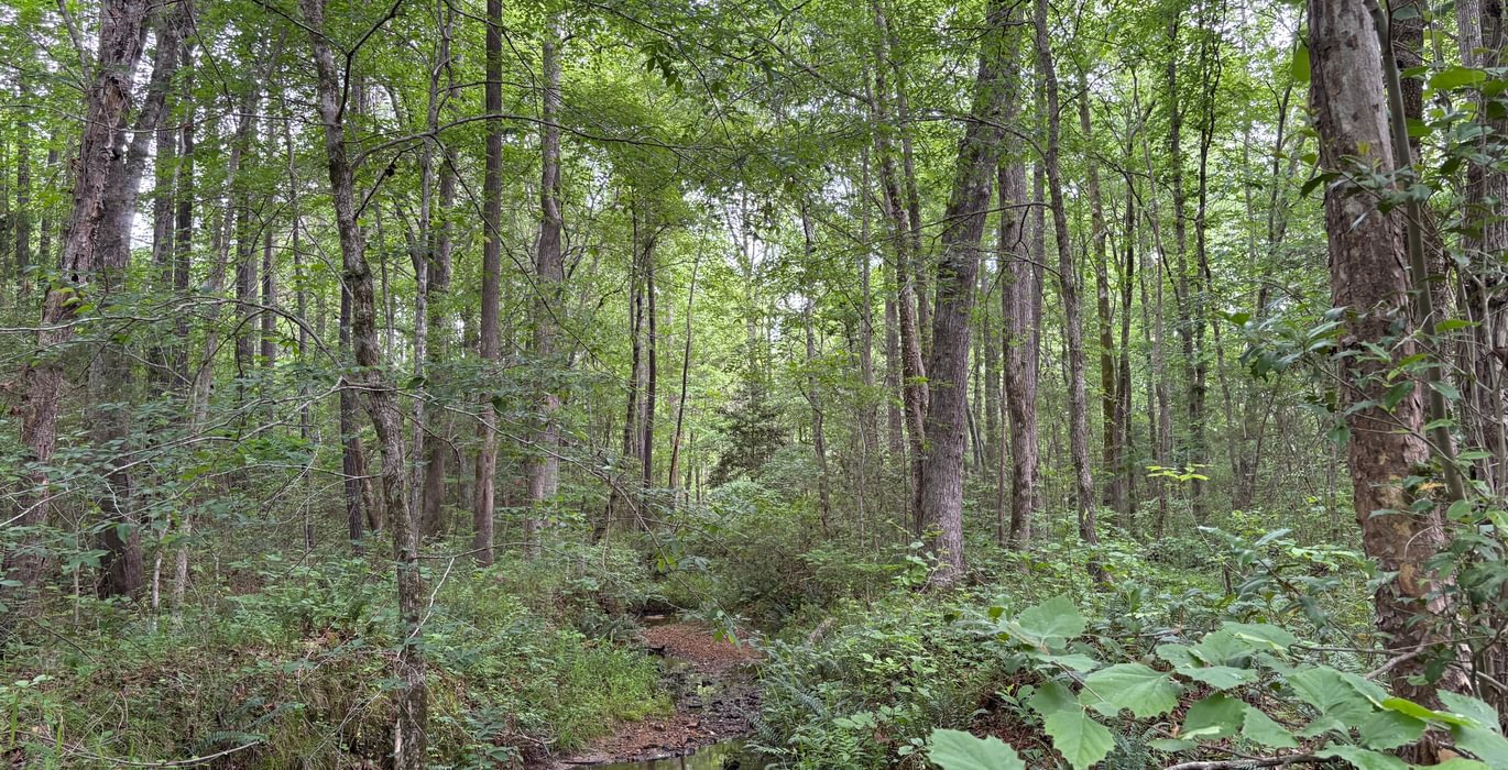 623 IMG 1425