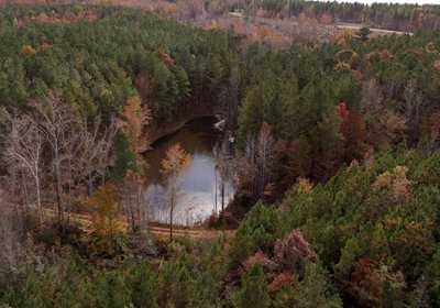 624 AFM Crump Farm Photo 14