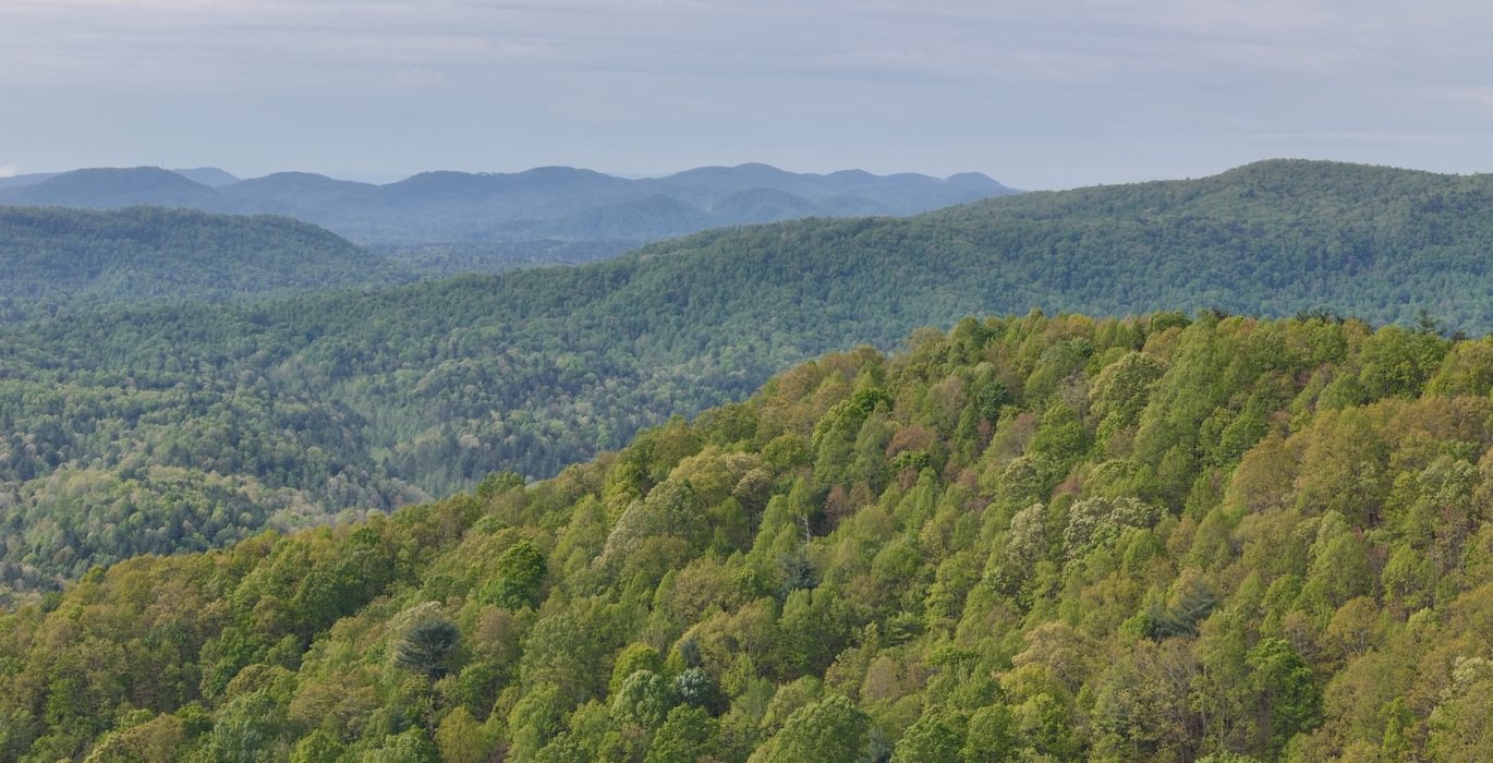 624 AFM Johnson Mountain Photo 9