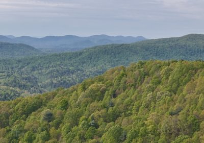 624 AFM Johnson Mountain Photo 9