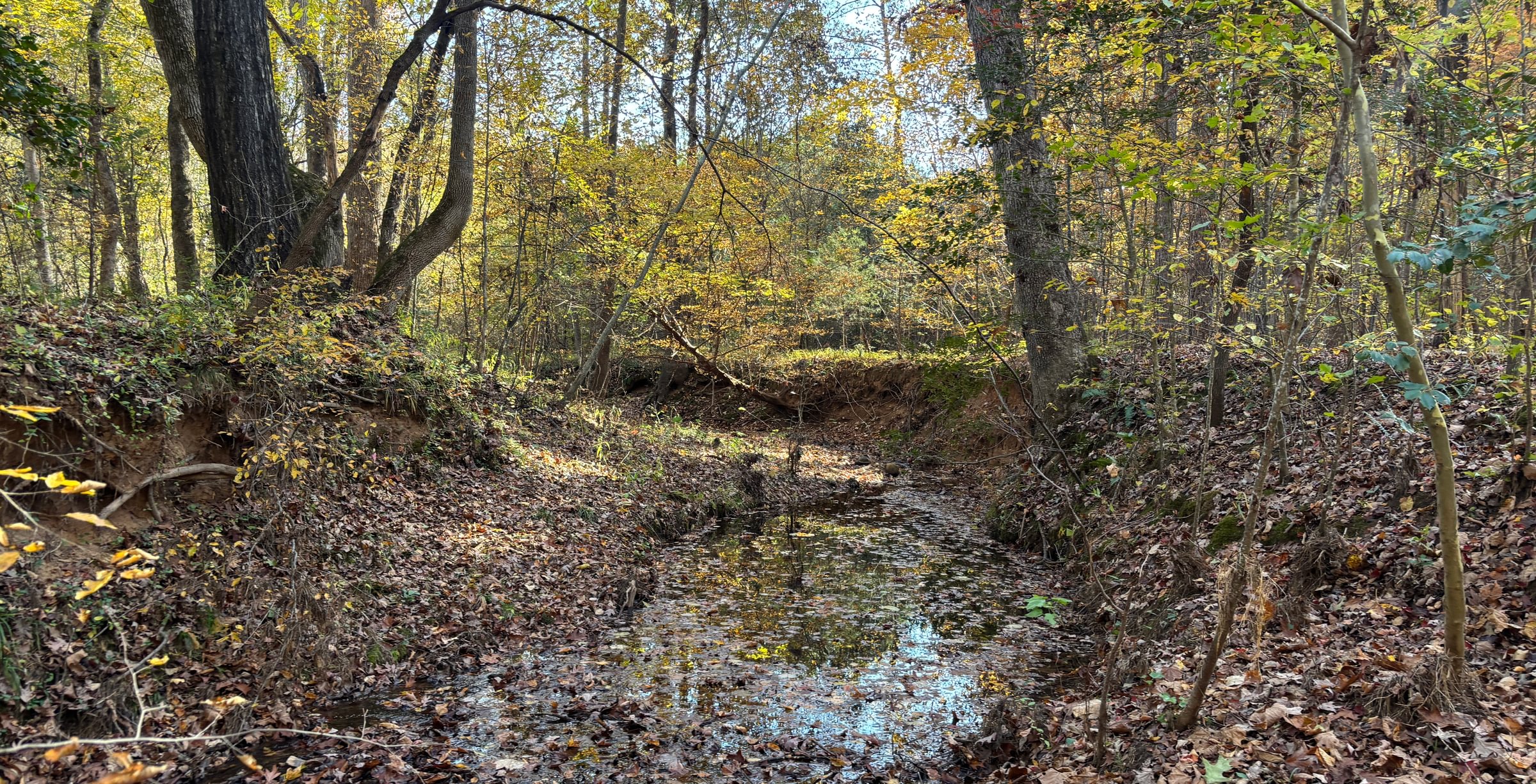 624 IMG 5812