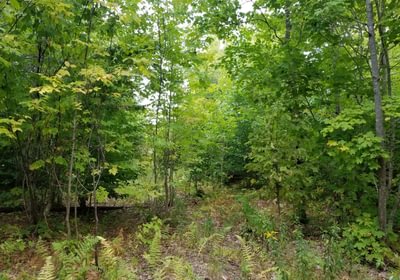 624 Land view1