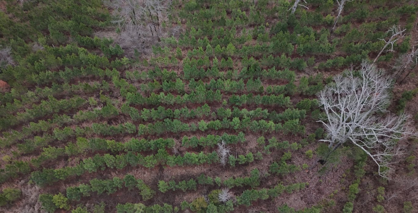 625 DJI 20260205154012 0002 D