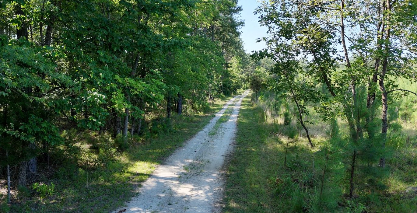 625 Enoree Creek Photo 13
