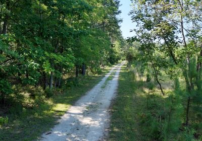 625 Enoree Creek Photo 13