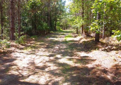 625 dji fly 20260603 111940 287 1780500049251 photo optimized