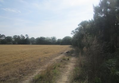 628 IMG 0715