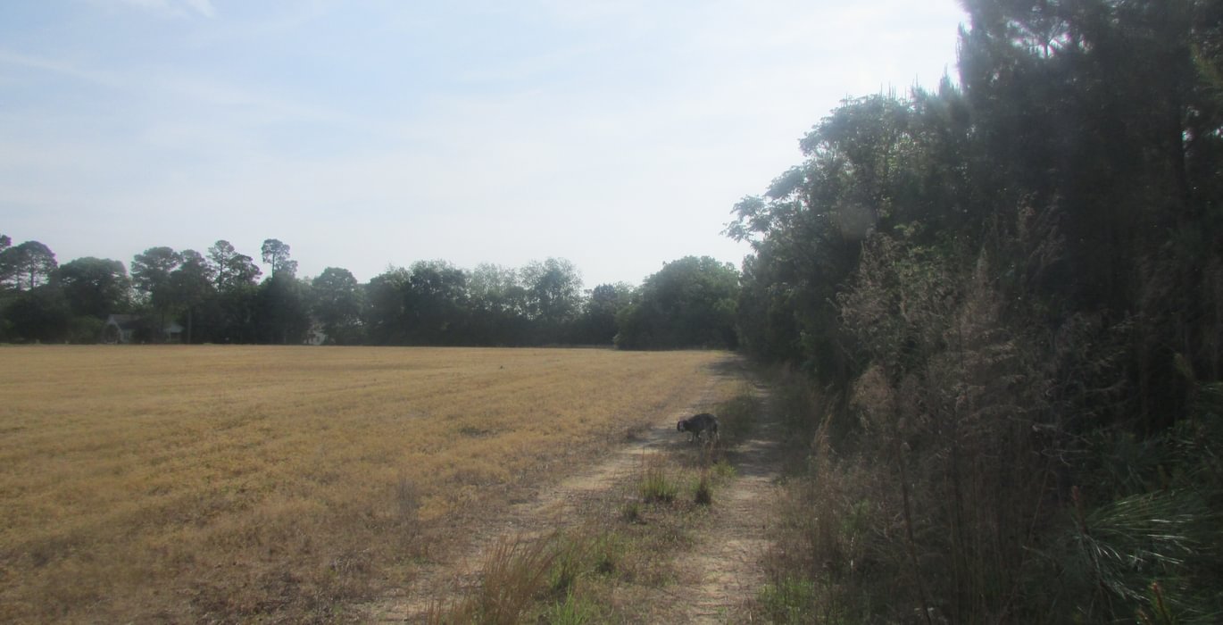 628 IMG 0715