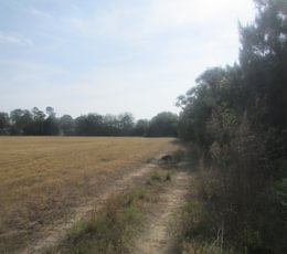 628 IMG 0715