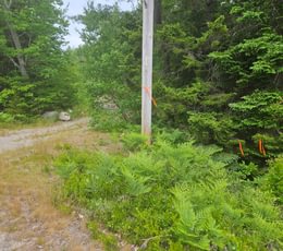 628 Prop corner along Route 1 adj to access road