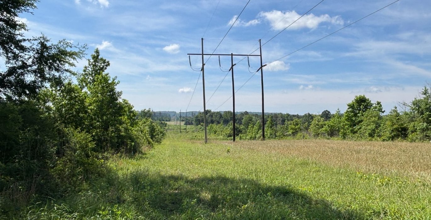 629 IMG 6749