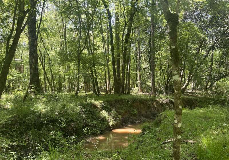 Photo 1 of Curtis, 160.71 acres, Randolph County, GA