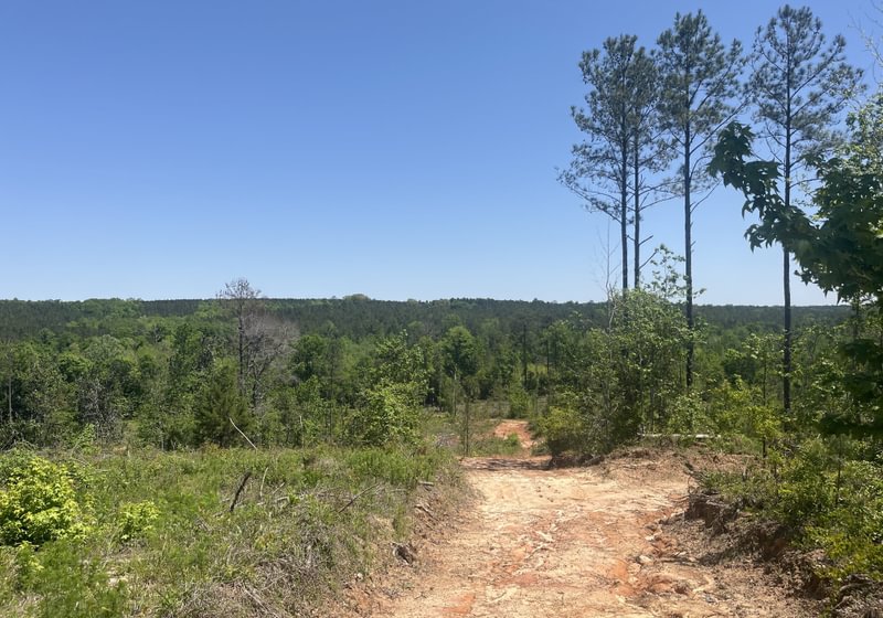 Photo 2 of Curtis, 160.71 acres, Randolph County, GA