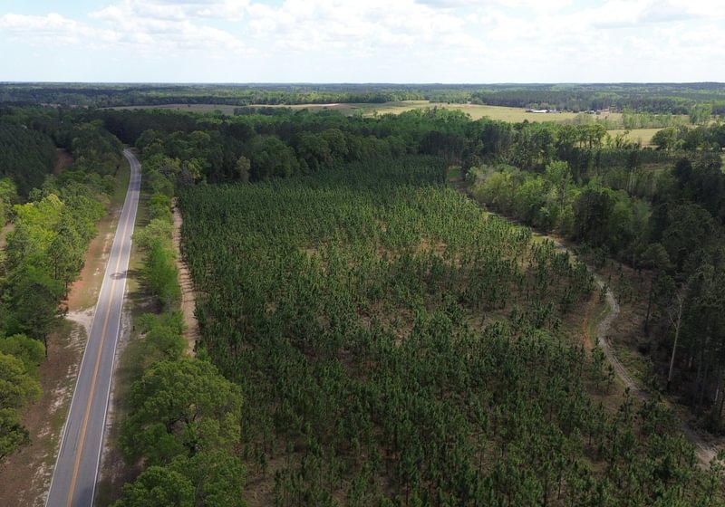 Photo 1 of Old Poor Robin Sportsman Tract 2, 24.6 acres, Screven County, Georgia