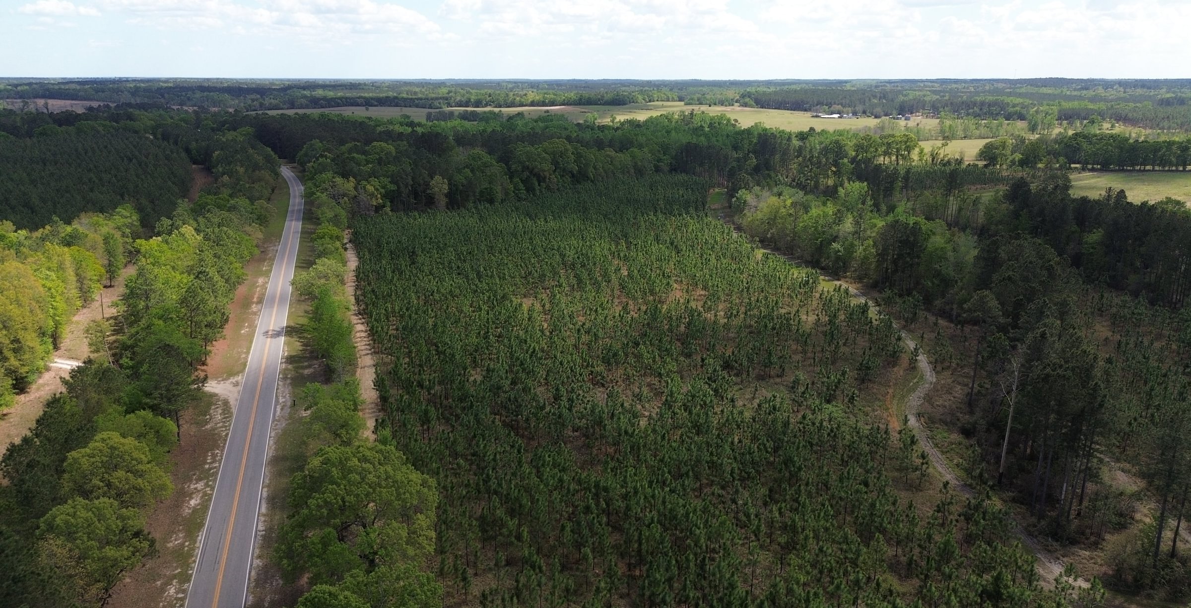 Photo 1 of Old Poor Robin Sportsman Tract 2, 24.6 acres, Screven County, Georgia