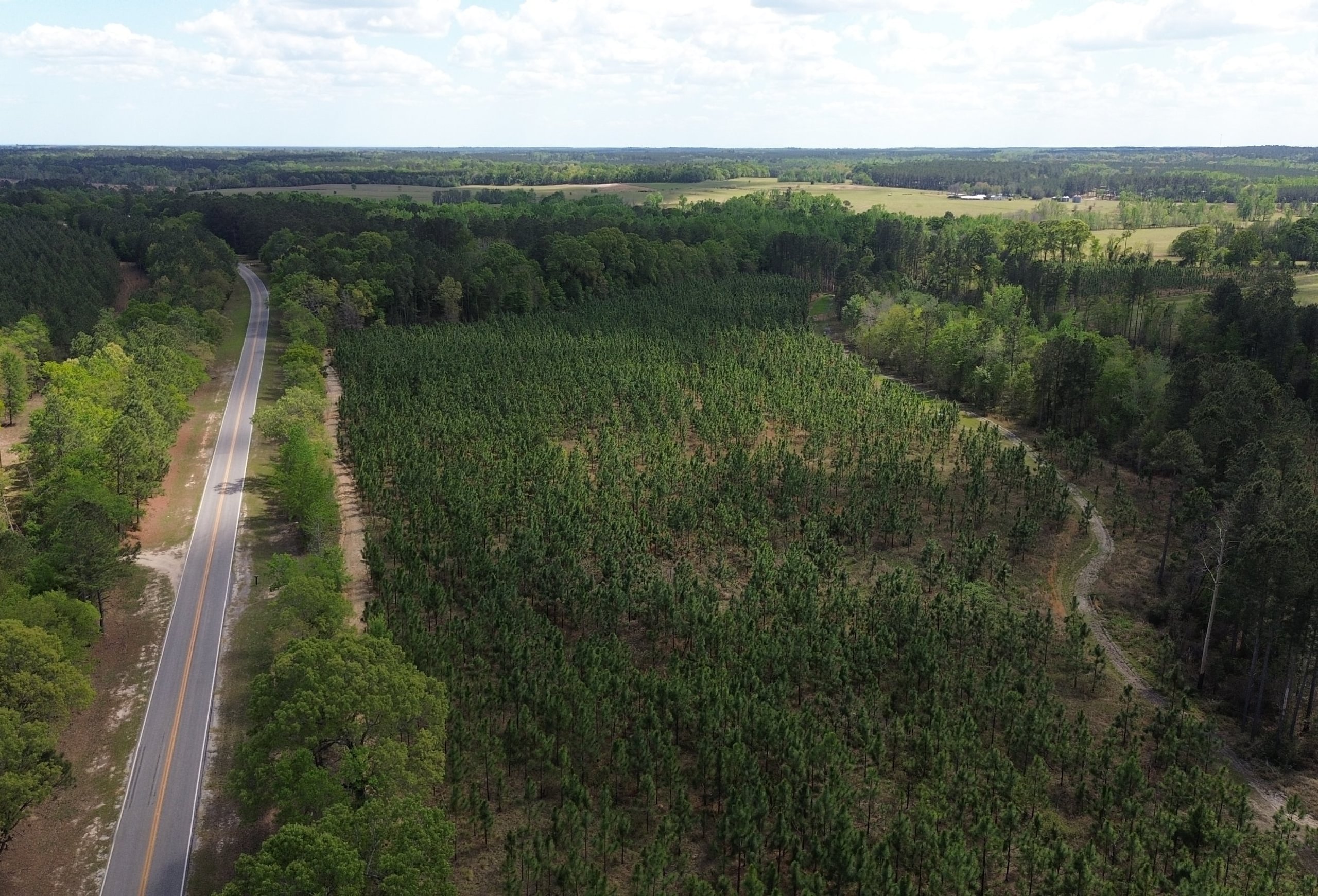 Photo 1 of Old Poor Robin Sportsman Tract 2, 24.6 acres, Screven County, Georgia