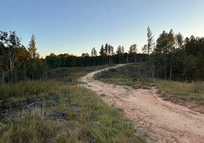 631 IMG 2793