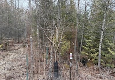 631 IMG 7961