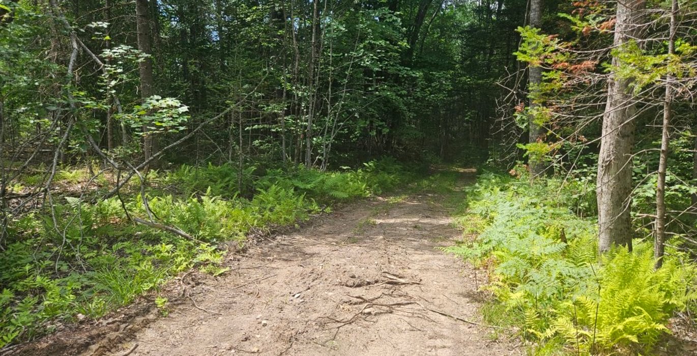 632 20260716 131402