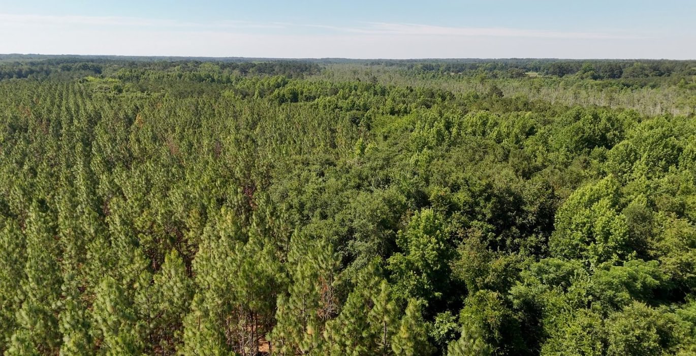 633 Beaverdam Creek Photo 15