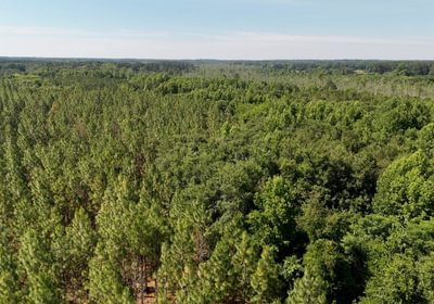 633 Beaverdam Creek Photo 15