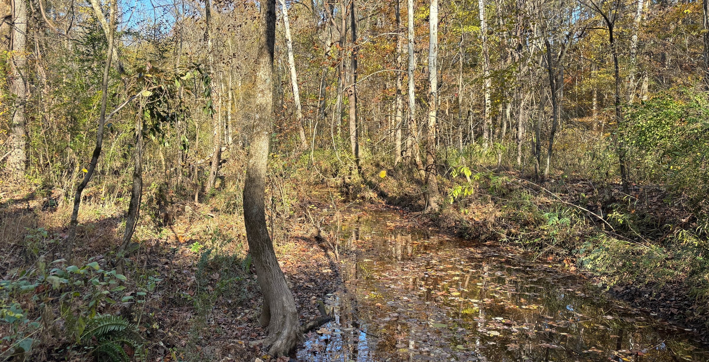633 IMG 5807