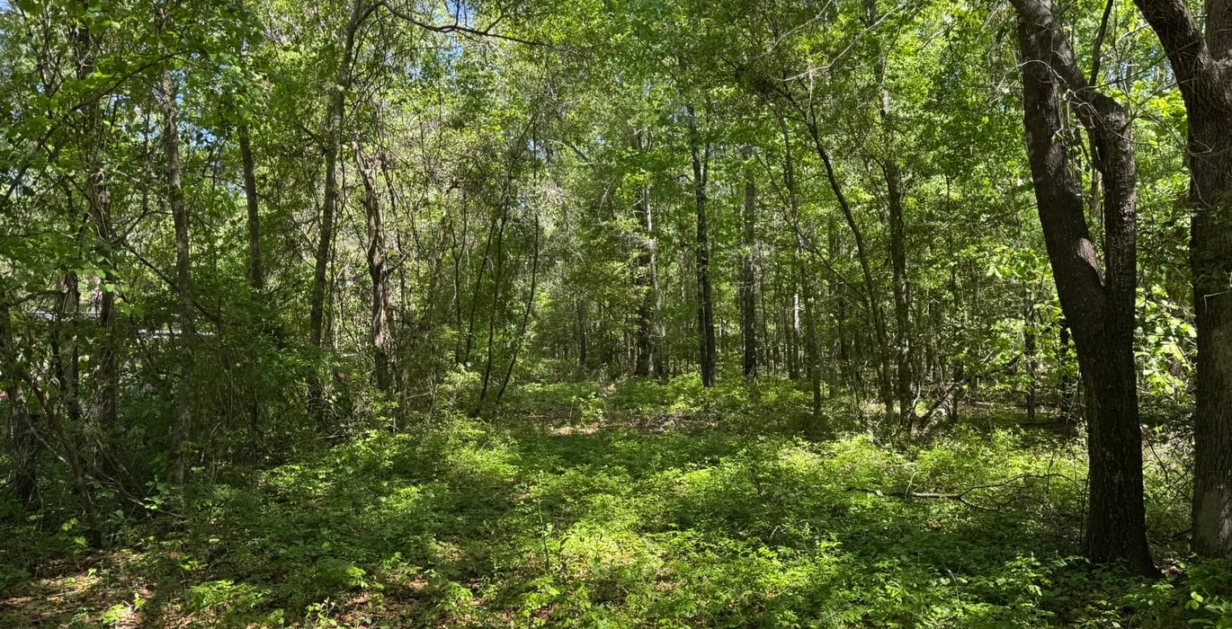 634 IMG 4252 Copy Copy