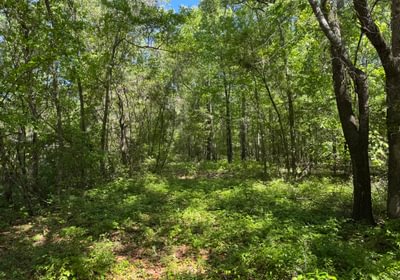 634 IMG 4252 Copy Copy