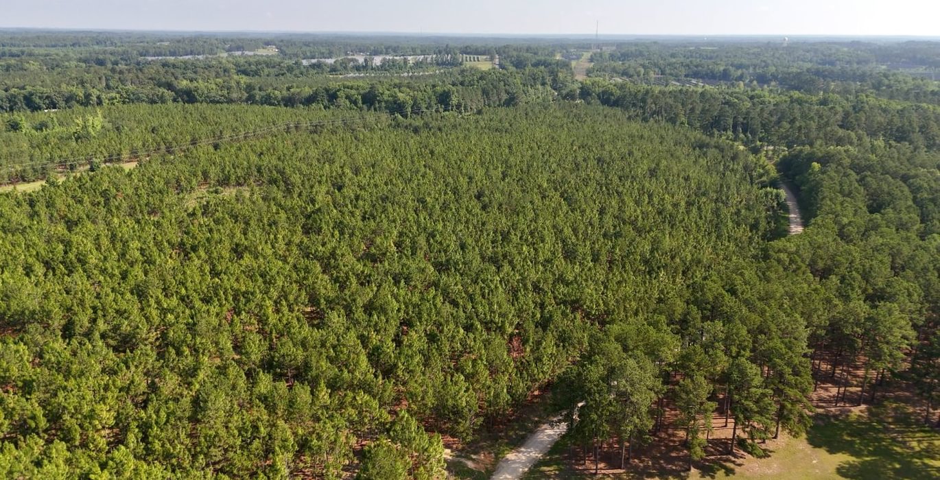 634 Longleaf Mecca Photo 2