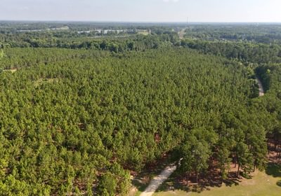 634 Longleaf Mecca Photo 2