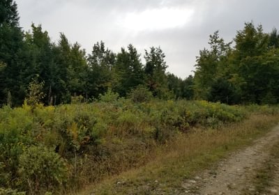 637 Land view 6