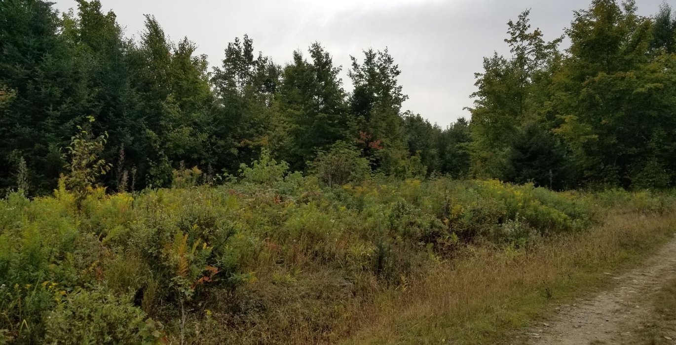 637 Land view 6