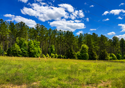 638 Trees across powerline