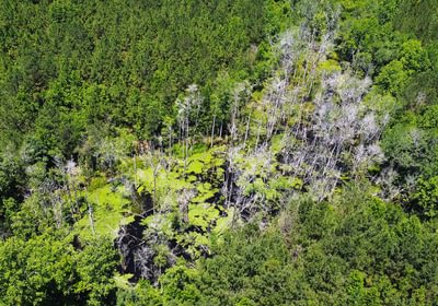 638 dji fly 20260603 124724 293 1780505285124 photo optimized