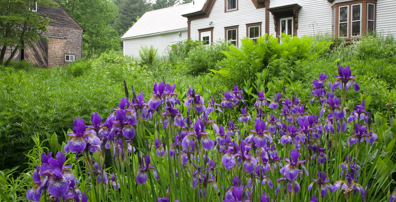 639 Garden front of house