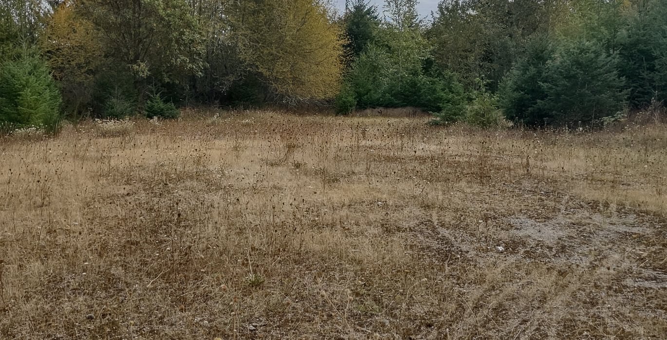 639 IMG 20240923 122034196 HDR