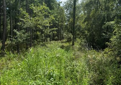 640 acres north of Lake Butler