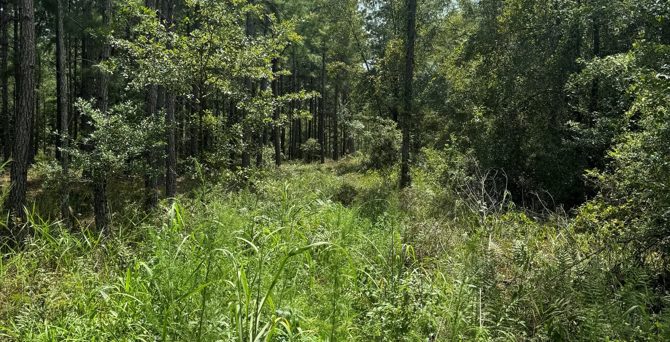 640 acres north of Lake Butler