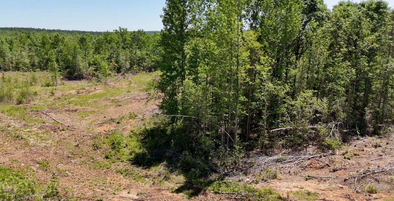 640 AFM Big Mountain Creek Photo 27