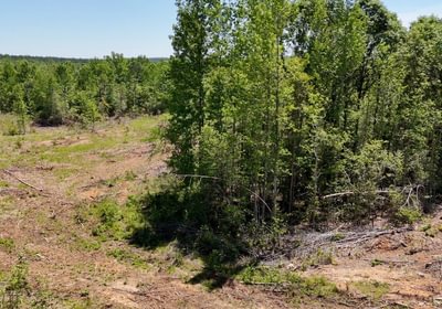640 AFM Big Mountain Creek Photo 27