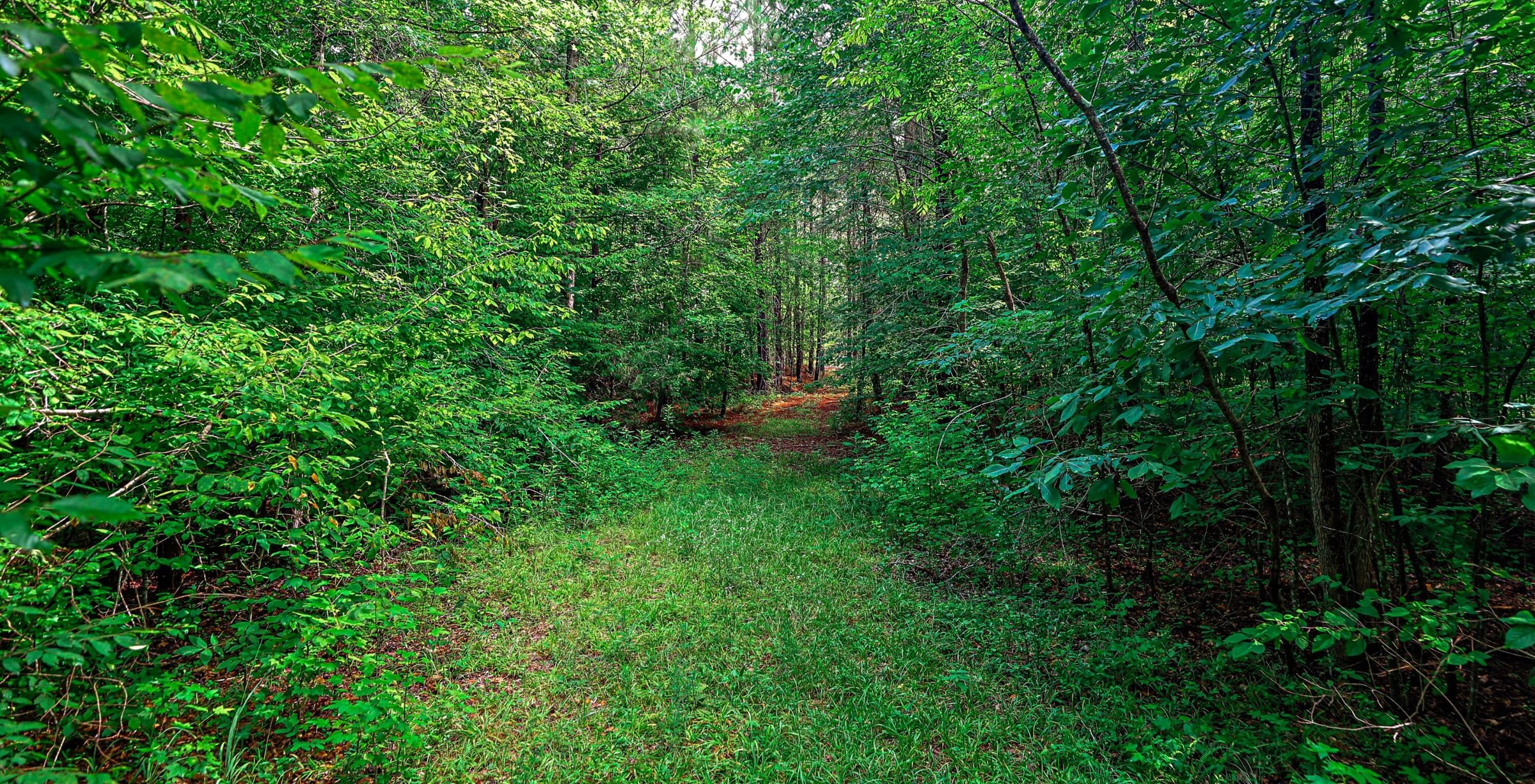 Photo 4 of Rush Creek Farms at Texas Chapel, 310.73 acres, Putnam County, Georgia