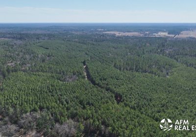 642 DJI 20250131122653 0019 V