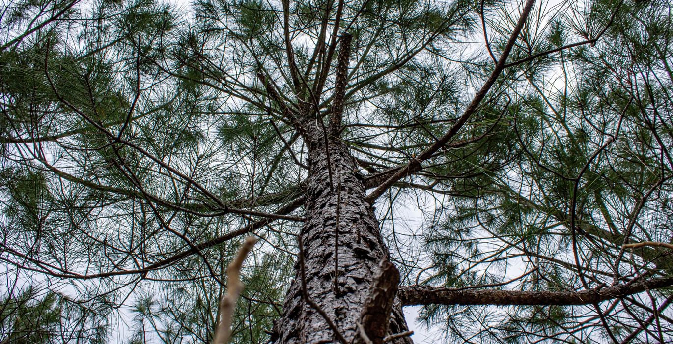 642 FORTLAWN IMG 6831