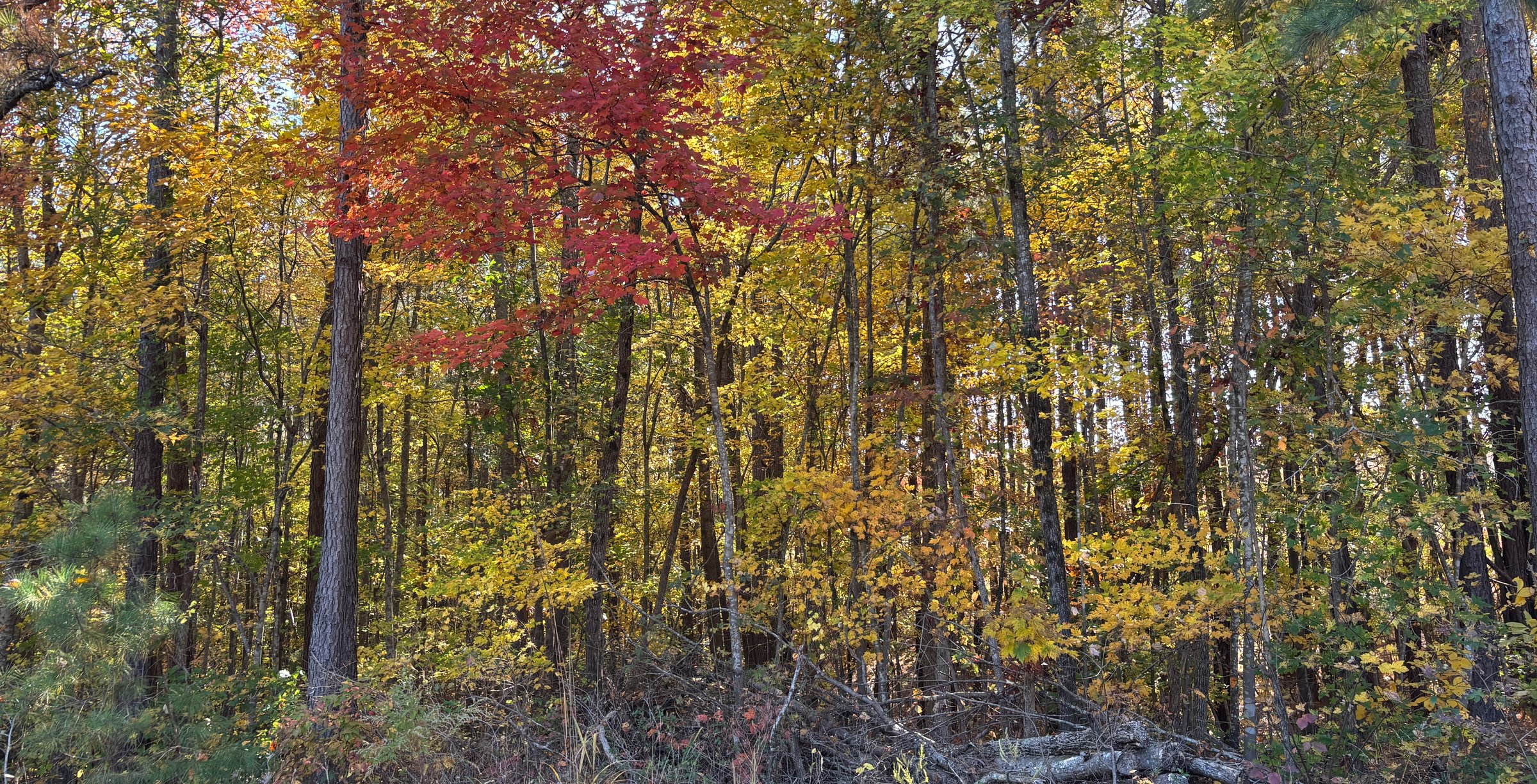 642 IMG 5848