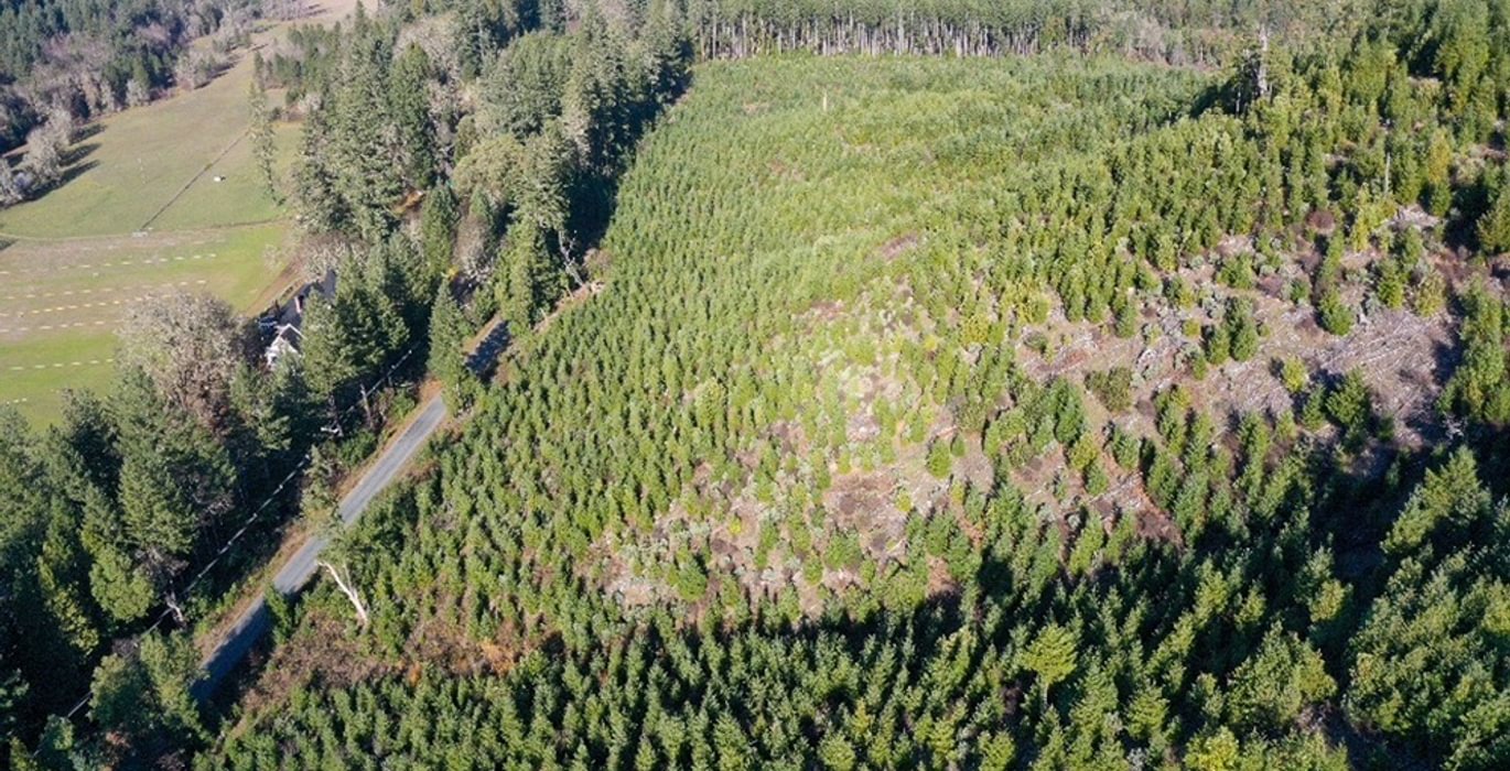 643 Photo Dec 04 2025 10 11 21 PM 19 1