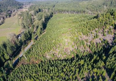 643 Photo Dec 04 2025 10 11 21 PM 19 1