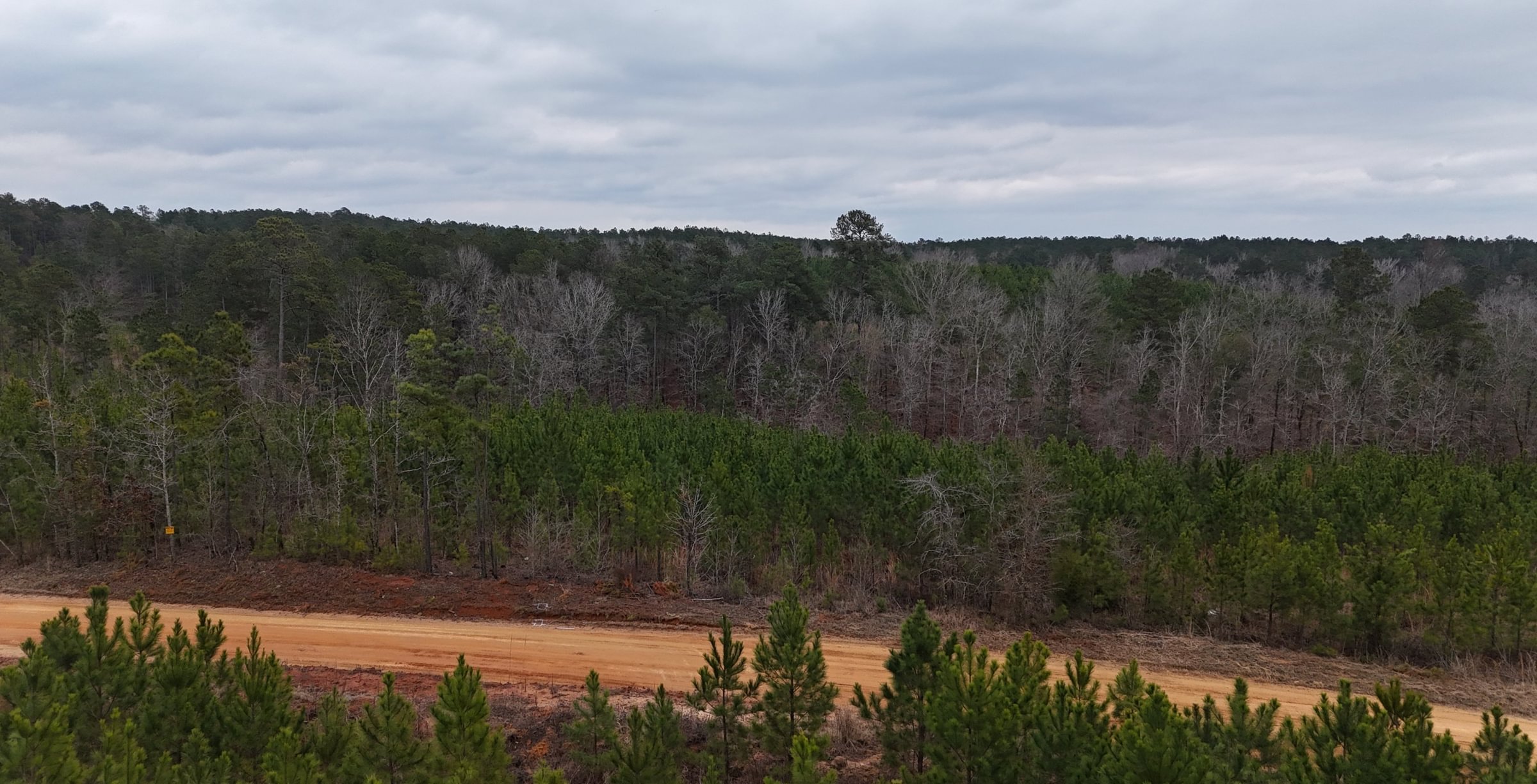 Photo 9 of Chickasaw Pines at Lake Sinclair, 131 acres, Hancock County, Georgia