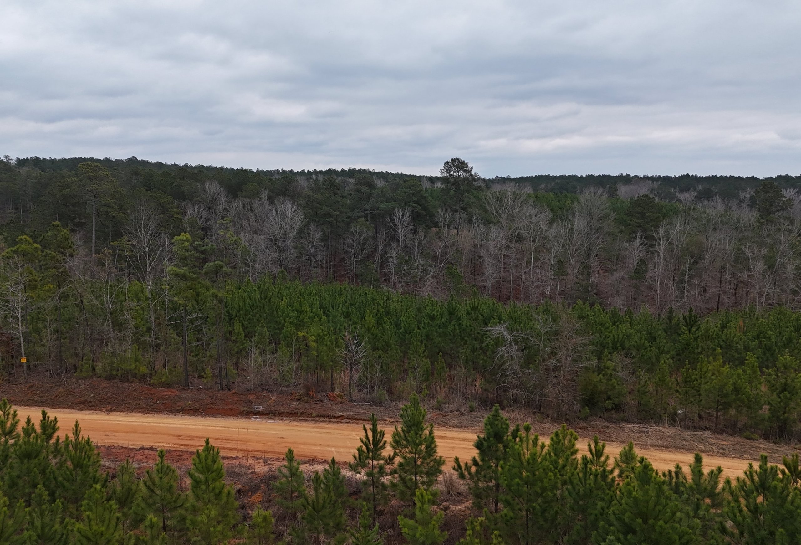 Photo 9 of Chickasaw Pines at Lake Sinclair, 131 acres, Hancock County, Georgia